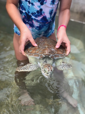 I went to the Cayman Islands