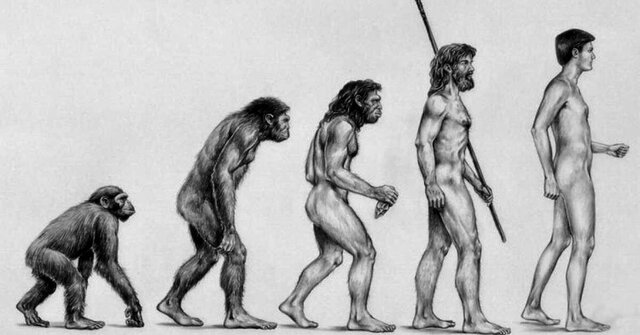 La teoria de la evolució