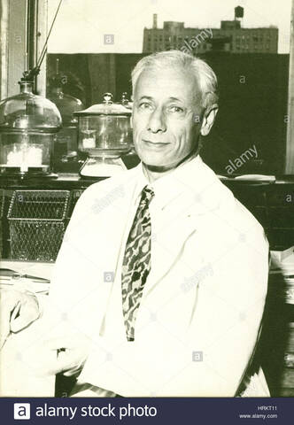 MICHAEL HEILDERBERGER