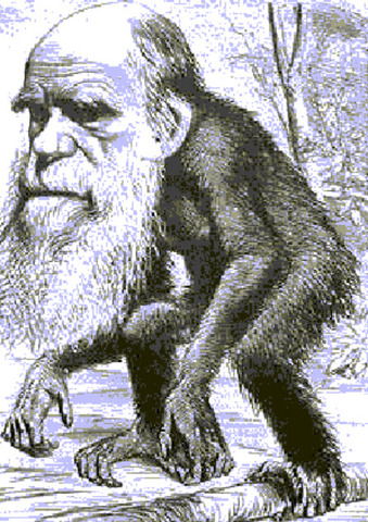 Relació populartitat amb le selecció natural respecte a la ciencia