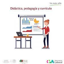 Tercera etapa. Pinar y Apple