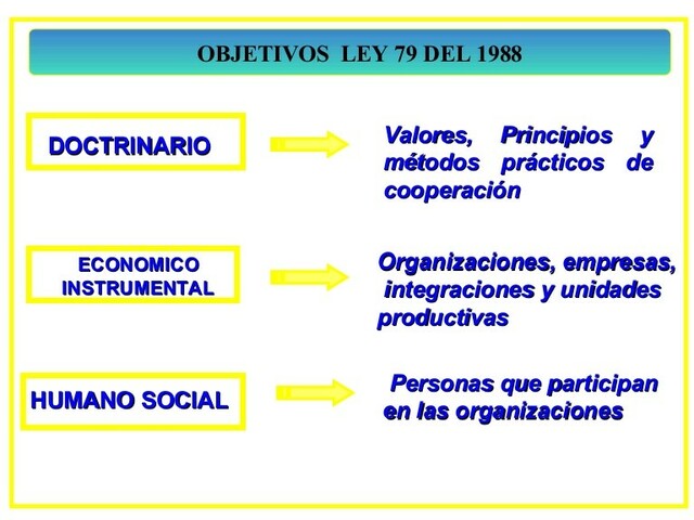 1988 organización del cooperativismo