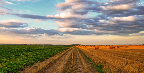 Ley de tierras y desarrollo agrario