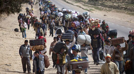 Timeline: La evolucion de las migraciones