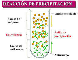 prueba de precipitación cuantitativa