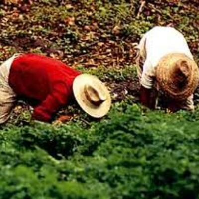 Timeline: Evolución del Espacio Agrario Venezolano