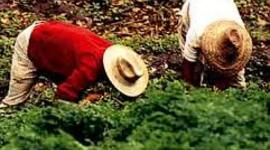 Timeline: Evolución del Espacio Agrario Venezolano