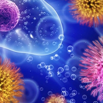 Timeline: Historia de los Mircoorganismos en alimentos