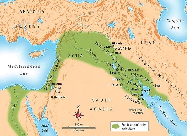 Mesopotamia y Egipto