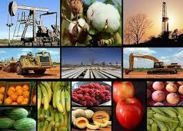 Constitución de la economía Venezolana