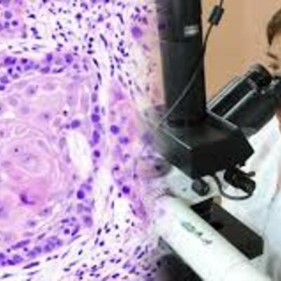 Timeline: Historia de los conceptos causa y enfermedad: Paralelismo entre medicina y fitopatología