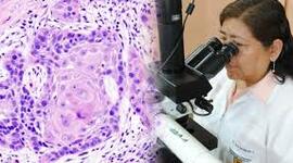 Timeline: Historia de los conceptos causa y enfermedad: Paralelismo entre medicina y fitopatología