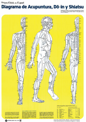 ACUPUNTURA (MEDICINA TRADICIONAL CHINA)