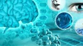 Timeline: Neurociencia