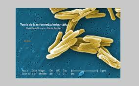 La teoría del miasma.