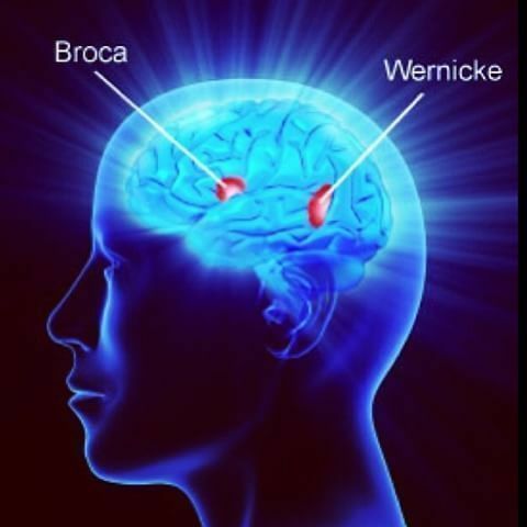 CARL WERNICKE(Médico alemán)1908 - 1917