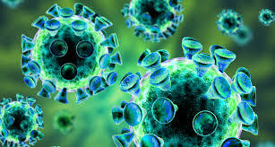 Otras causas de la enfermedad