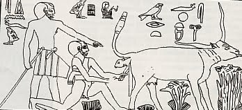 Los papiros de Ebers y Kahun