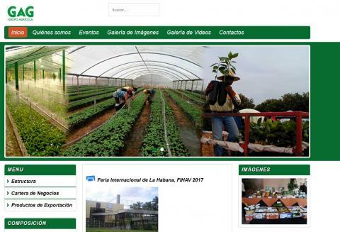 Expansión de la Actividad de los Grupos Empresariales