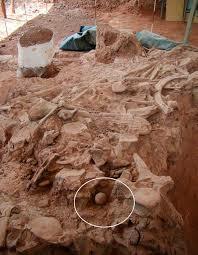 Inicio de la agricultura prehispánica