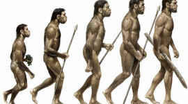 Timeline: Eventos Importantes de la historia y Evolución de la Ergonomía