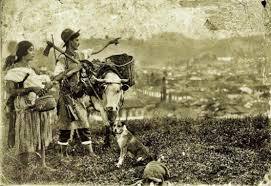 Colonización antioqueña