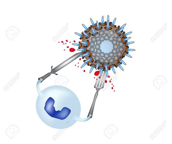 "Teoría de los fagocitos"