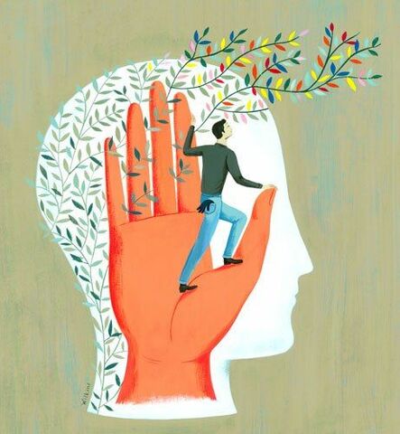 Evolución Historica