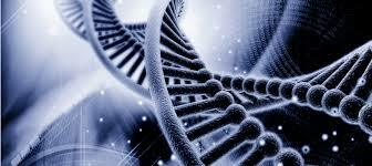 Ingieneria Genética