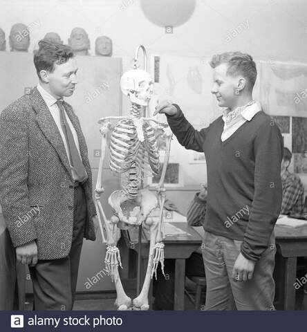 Skinner y la Psicología Conductista