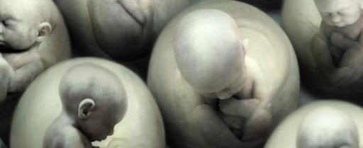 594 a.c. Submodelo eugenésico