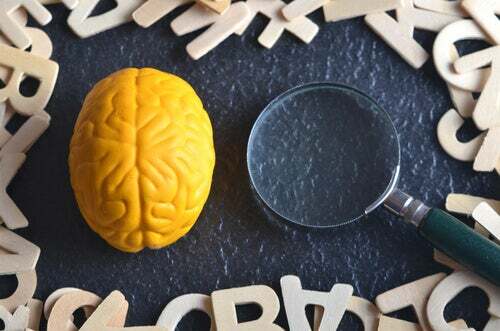 Los primeros laboratorios y el comienzo de la observación frente a la experimentación de laboratorio