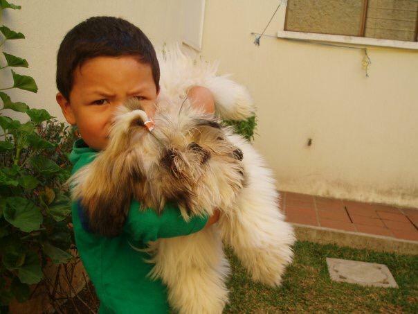 Murió mi perrita, Angie