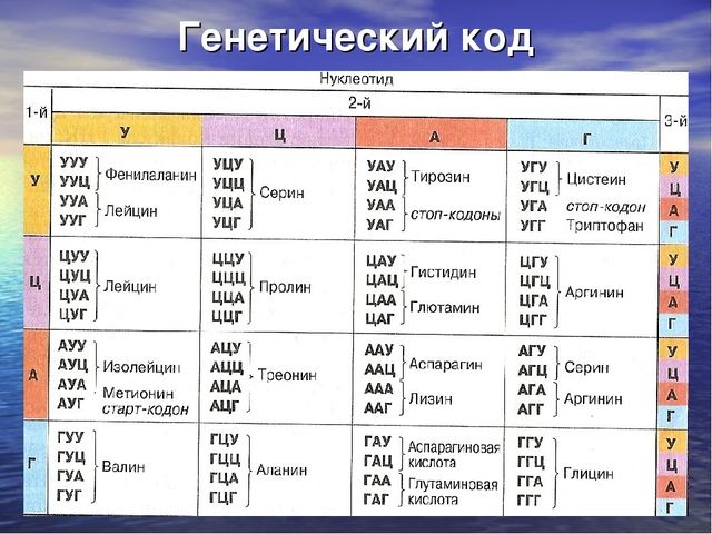 Структура генетического кода