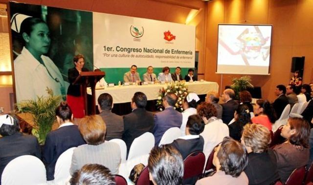 Segunda conferencia de clasificación de los diagnósticos de enfermería