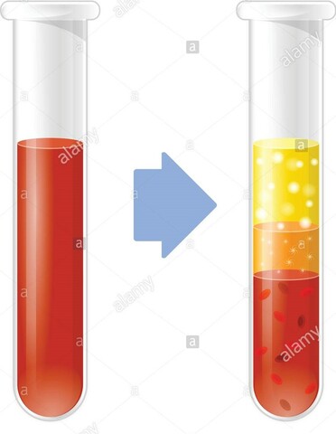Sangre y su separación