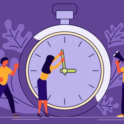 Timeline: Future plans