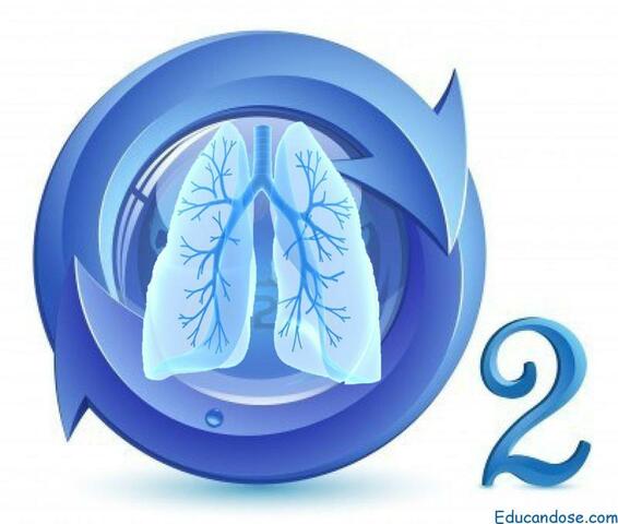 Descubrimiento del oxígeno