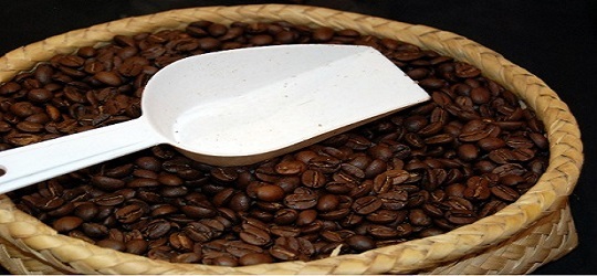 4to lugar en la producción de Café