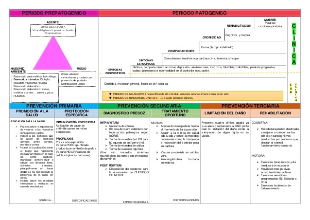 A la mitad del siglo XX Leavel y Clarck proponen la Historia Natural de la Enfermedad.
