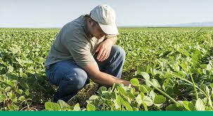 Ley de Tierras y Desarrollo Agrario