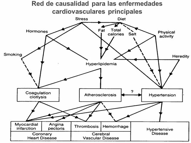 Se propone la “red de causalidad”:Brian MacMahon