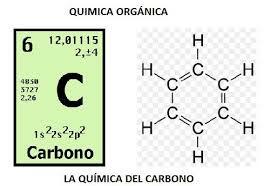 Distinción de la Química Orgánica
