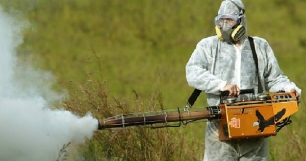 Muller implementa el uso de DDT