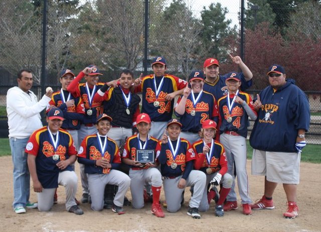 won the 14 year old triple a state tournament for baseball