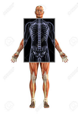Los Rayos X  en el sistema oseo