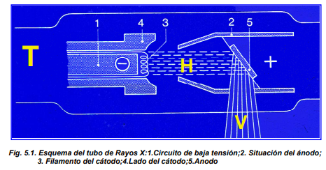 Estructura del tubo de rayos X