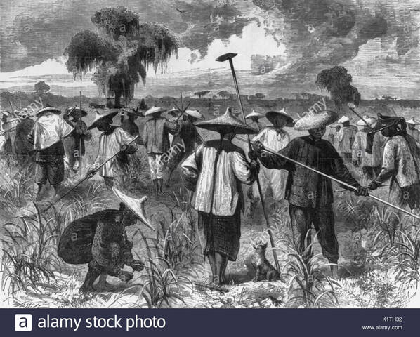 Mano de obra muy barata