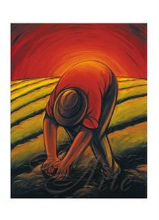 Ley de la Reforma Agraria