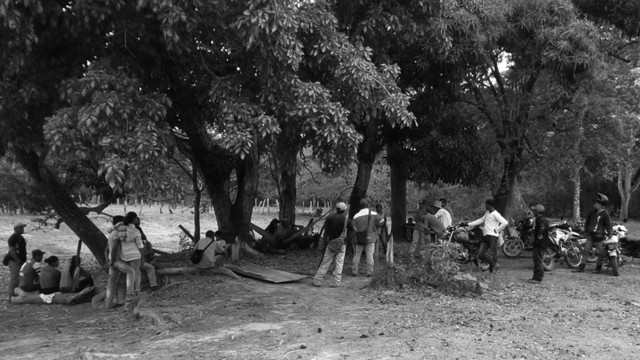 Redistribución de hectáreas de tierra